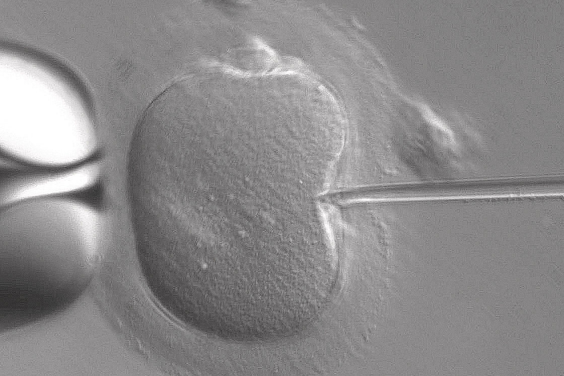 In-vitrofertilisatie eindelijk weer toegestaan in Costa Rica